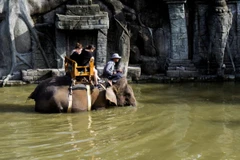 Two tourists ride a Sumatran elephant at Bali Zoo, Gianyar, Bali, June 25, 2018. (Photo: ANTARA)