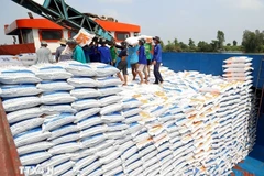 Vietnam's rice exports rise 5% in volume in first two months of 2026. (Photo: VNA)