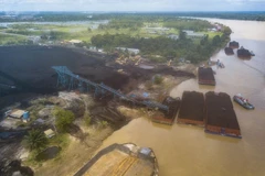 Coal storage barges float in a yard next to the Batanghari River in Muaro Jambi, Jambi, on May 6, 2024. (Photo: Antara) 
