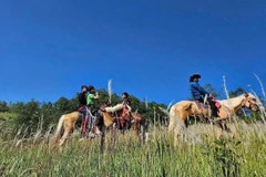 Horseback trekking launched at Vietnam’s northernmost point (Photo: VNA) 