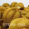 Vietnam's durian export revenue reaches 3.3 billion USD in 2024. (Photo: VNA)