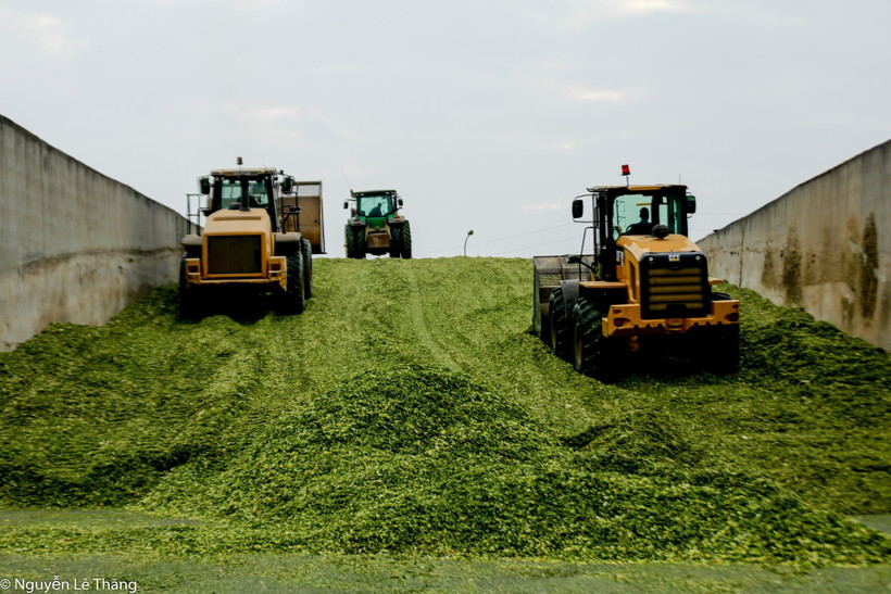 TH Group "breaks" pollution cycle with green technologies. (Photo: TH Group)