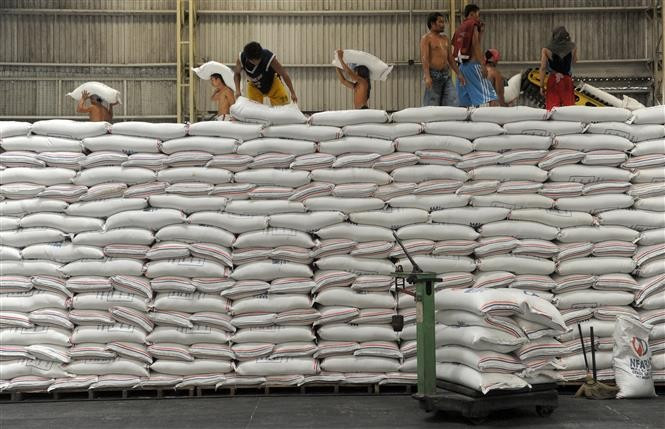 Transporting rice in Manila, the Philippines. (Photo: AFP/VNA)