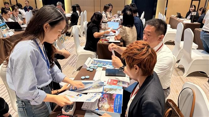 Vietnamese and Japanese travel businesses meet in person to exchange tourism information. (Photo: VNA)