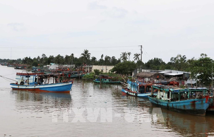 Ca Mau province strengthens the management and supervision of fishing vessels. (Photo: VNA)