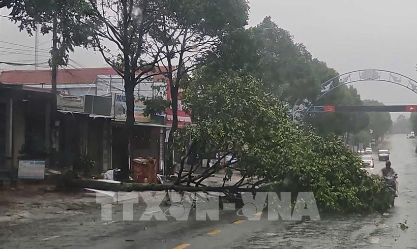 Trees are uprooted and broken in Buon Ma Thuot city, Dak Lak province, due to the impact of the storm. (Photo published by VNA)
