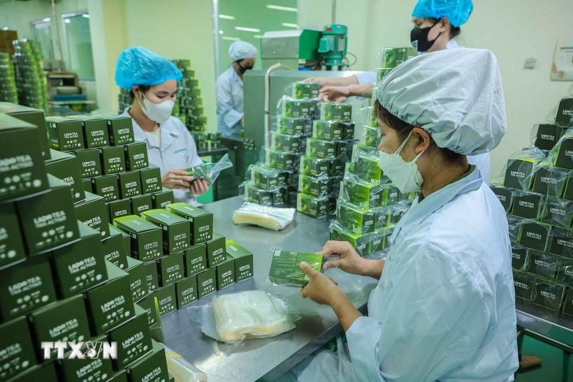 Production of herbal-based products at Lam Dong Pharmaceutical JSC. (Photo: VNA)