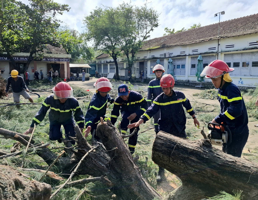 Fallen tree at Nguyen Hong Son Secondary School, Xuan Dai ward, Dak Lak province removed. (Photo: VNA)