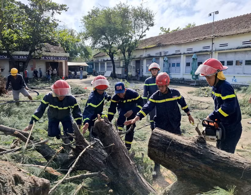 Fallen tree at Nguyen Hong Son Secondary School, Xuan Dai ward, Dak Lak province removed. (Photo: VNA)
