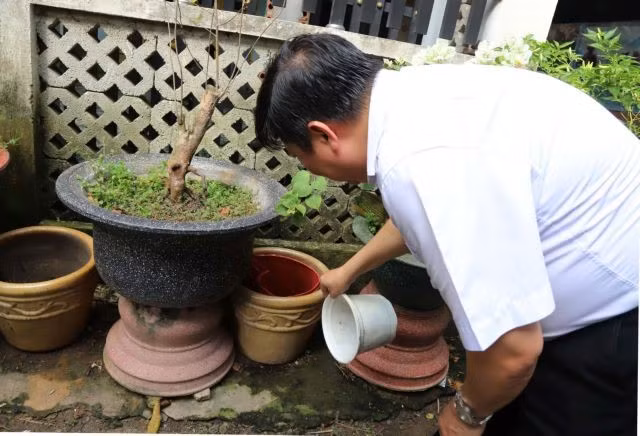 HCM City’s health workers inspect potential mosquito breeding sites during dengue fever surveillance. (Photo: VNA)