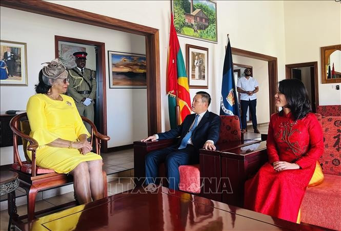 The Governor-General of Grenada, Dame Cecile La Grenade, receives Vietnamese Ambassador to Venezuela concurrently accredited to Grenada, Vu Trung My, and his spouse. (Photo courtesy of Vietnamese Embassy in Venezuela)
