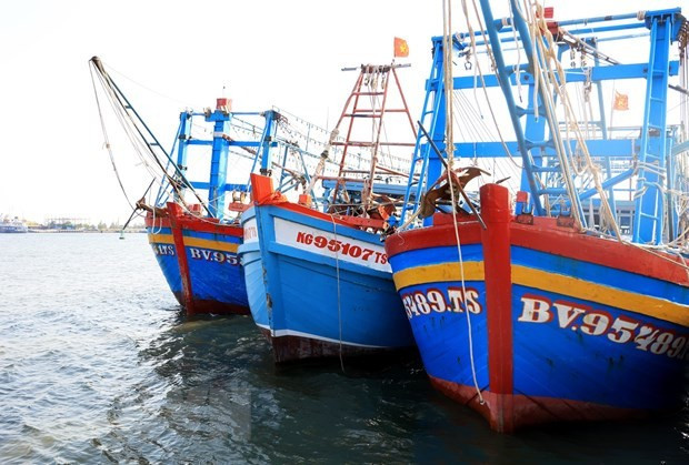 Proactive measures help Dong Thap stamp out IUU fishing violations. (Photo: VNA)
