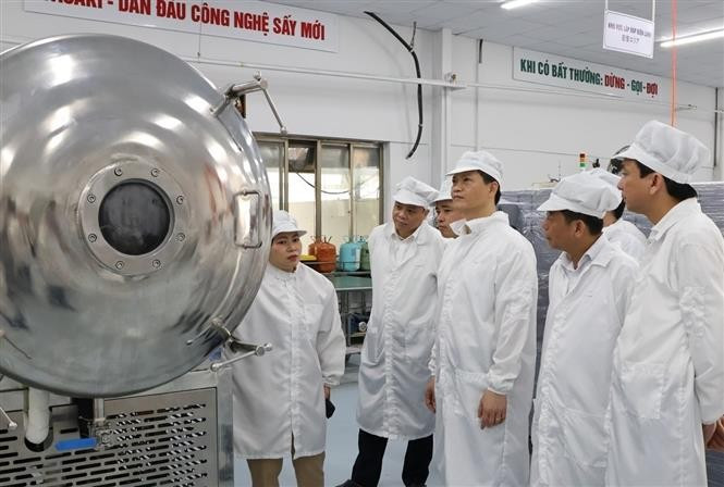 Chairman of the Bac Ninh provincial People’s Committee, Vuong Quoc Tuan (third from the right), visits the workshop of the Hanel Production, Processing and Import-Export Joint Stock Company (Hanel PT) on May 5. (Photo: VNA) 