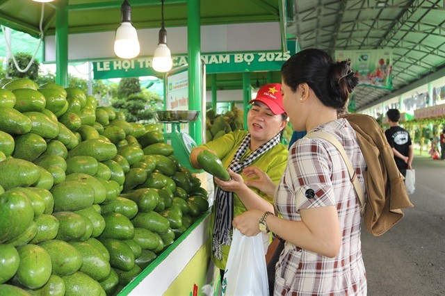 The traditional market offers a wide selection of fruits, such as avocado, rambutan, mangosteen, durian, and Hanoi plums. (Photo: VNA)