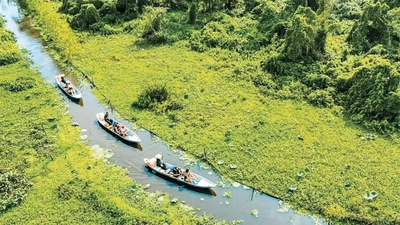 Visitors explore the Tra Su cajuput forest in An Giang province. (Photo: Tra Su Tourism Area)
