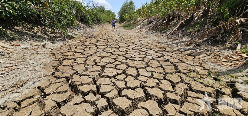 The Suon canal running through Tan Tap commune, Can Giuoc district, Long An province dries up due to prolonged drought and salinity, 2024. (Photo: qdnd.vn) 