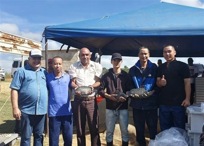 Cuban Minister of Food Industry Alberto Lopez Diaz (third from left) and Vietnamese experts celebrate the successful cooperation. (Photo: VNA)