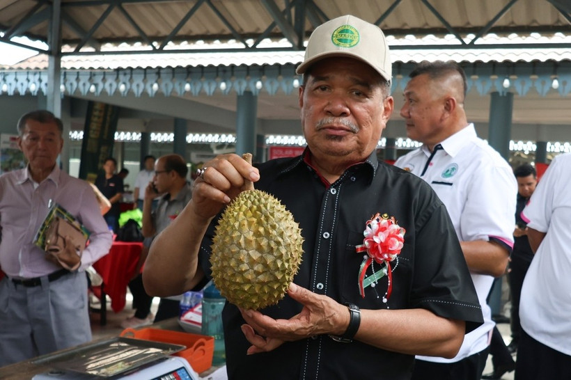 Minister of Agriculture and Food Security Datuk Seri Mohamad Sabu holds up a Musang King durian during a visit to a durian stall at the 2025 Durian Festival in Gua Musang on July 26, 2025. (Photo: Bernama)