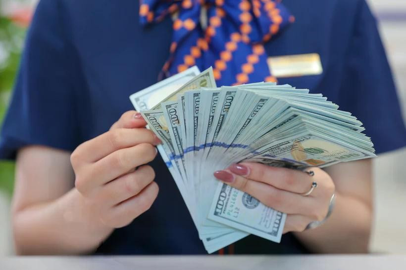 The daily reference exchange rate for the US dollar is set at 24,898 VND/USD on April 8. (Photo: VNA)