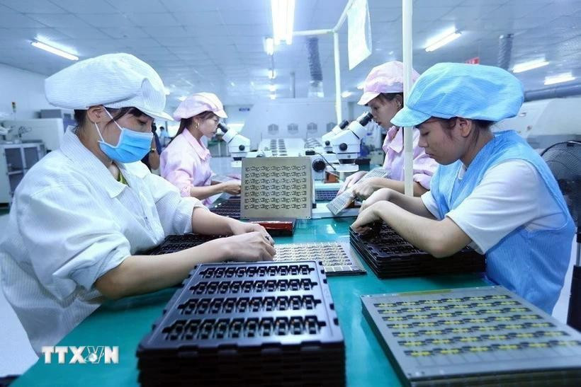 Women are increasingly participating in various sectors of production and playing a vital role. (Photo: VNA)