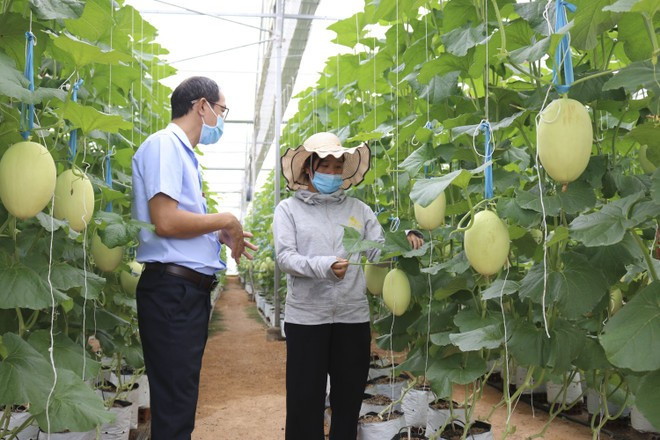 Promoting smart and sustainable agriculture is a top priority within Vietnam’s strategy for sustainable agricultural and rural development for the 2021–2030 period, with a vision to 2050. (Photo: VNA)