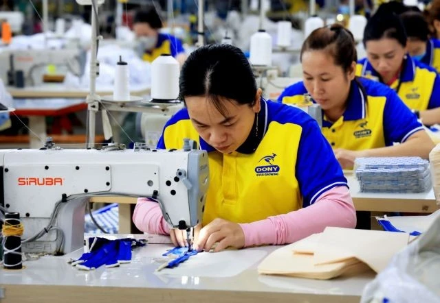 Workers at Dony Garment Company in HCM City's Binh Chanh district. (Photo: VNA)