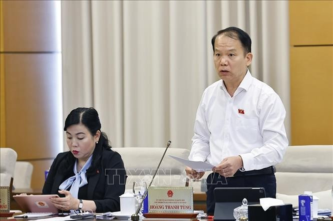Hoang Thanh Tung, Chairman of the National Assembly’s Committee on Legal and Judicial Affairs, delivers remarks. (Photo: VNA)