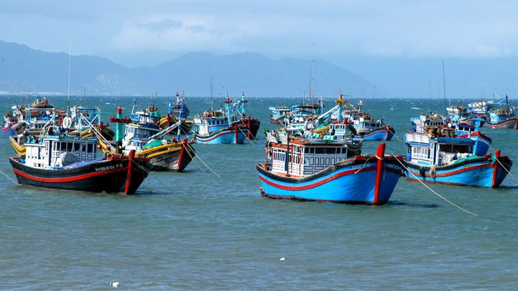 (Illustrative photo: thuysanvietnam.com.vn)