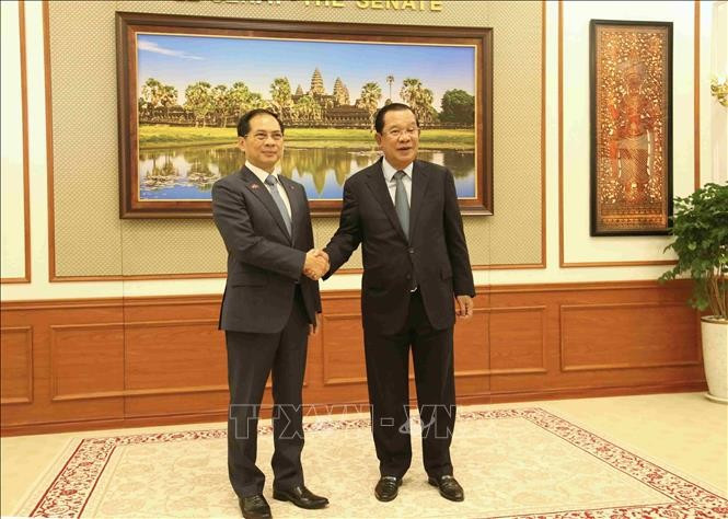 President of the Cambodian Senate and President of the Cambodian People's Party (CPP) Samdech Techo Hun Sen and Deputy Prime Minister Bui Thanh Son pose for a commemorative photo. (Photo: VNA)