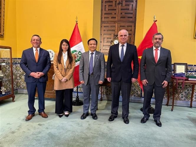 Vietnamese Ambassador to Brazil Bui Van Nghi (centre), who is concurrently in charge of Peru pays a courtesy visit to Peru's Deputy Foreign Minister Felix Denegri Boza. (Photo published by VNA)