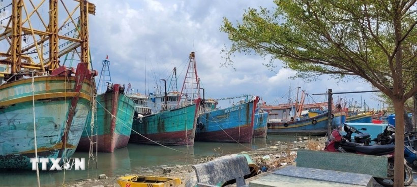 A number of trawlers in Long Hai commune, Ho Chi Minh City, are forced to stay idle after suffering losses. (Photo: VNA)