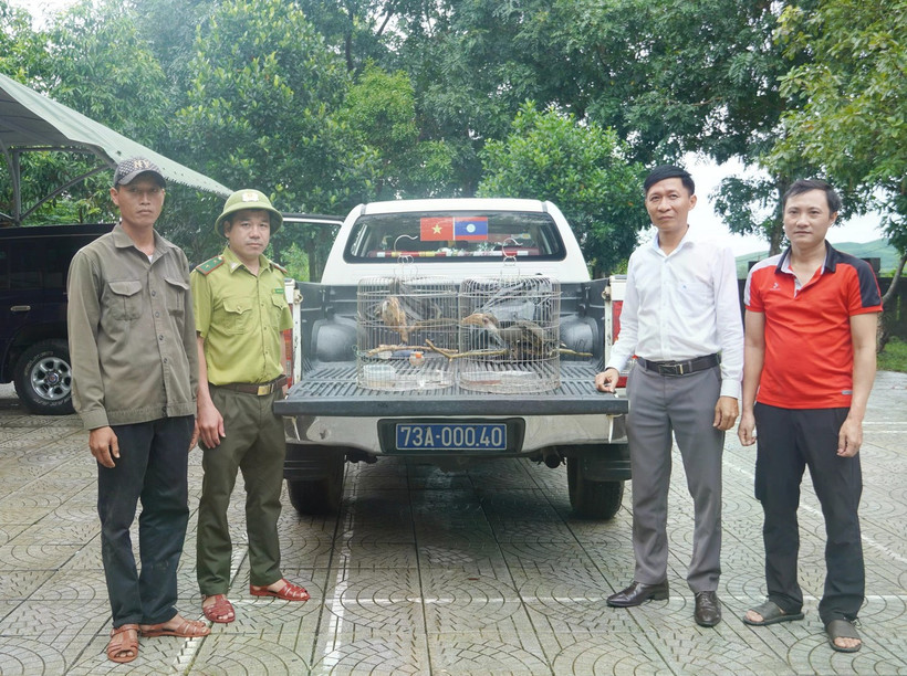 Officials receive the two rare brown hornbills. (Photo: VNA) 