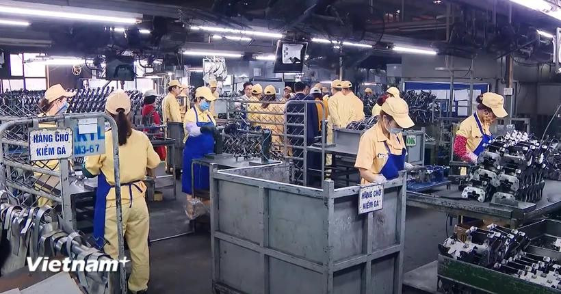 Vietnamese businesses remain optimistic about growth on international markets, according to HSBC’s latest survey. (Photo: VietnamPlus)