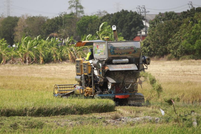 Farmers harvest rice using a combine harvester in Nonthaburi. (Photo: Bangkok Post)