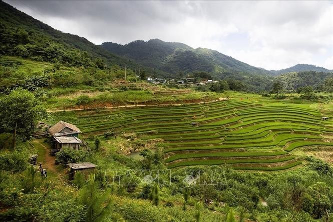 The stunning terraced fields in Mung hamlet of Cao Phong commune, Phu Tho province. (Photo: VNA)