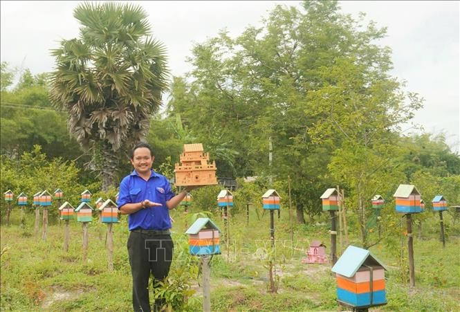 From an initial 18 bee colonies, after three years, Thanh expands to over 500 stingless bee colonies within a 2,000-square-metre farm. (Photo: VNA) 