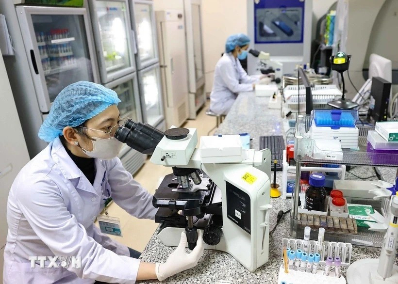 Scientific research activities at the National Hospital of Endocrinology. (Photo: VNA)