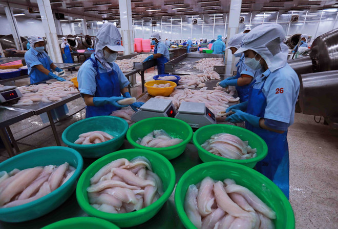 Seafood processing for export. (Photo: Vietnam+) xuat-khau-2.jpg