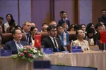 Participants at the official session of the City Partnership Forum – Da Nang 2025 held in the central coastal city on January 17. (Photo: VNA)