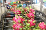 Processing dragon fruit for exports (Photo: VNA)