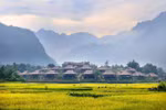 A golden rice field in Mai Chau district of Hoa Binh province. (Photo: Mai Chau Ecolodge)