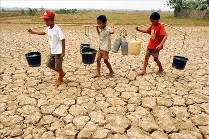 Drought-hit farmland in Cibarusa, Bekasi, Indonesia. (Photo: AFP/VNA)