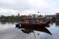 Da Nang is working to restructure its fishing fleet in efforts to promote to legal and sustainable fisheries development. (Photo: VNA)