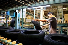 An automobile tire factory of Sailun Vietnam Co., Ltd. in Phuoc Dong Industrial Park in Tay Ninh province. (Photo: VNA)