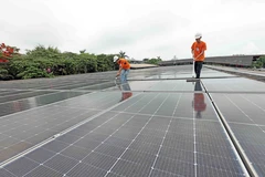 Maxport Limited Company (Vietnam) invests over 42 billion VND in rooftop solar power systems at two Maxport 8 factories in Vu Thu district, Thai Binh province. (Photo: VNA)