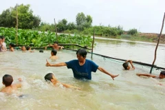 Tran Thi Kim Thia (also known as Sau Thia) wholeheartedly takes on the responsibility without accepting any payment. (Photo: congthuong.vn)