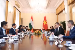 Deputy Prime Minister and Minister of Foreign Affairs Bui Thanh Son (second, left) holds talks with Hungarian Minister of Foreign Affairs and Trade Szijjarto Peter. (Photo: VNA)