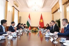 Deputy Prime Minister and Minister of Foreign Affairs Bui Thanh Son (second, left) holds talks with Hungarian Minister of Foreign Affairs and Trade Szijjarto Peter. (Photo: VNA)