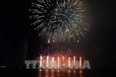 Fireworks displayed by the German team in 2024 (Photo: VNA)