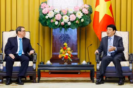 State President Luong Cuong (R) hosts a reception in Hanoi on February 19 for visiting Cuban Foreign Minister Bruno Rodríguez Parrilla. (Photo: VNA)